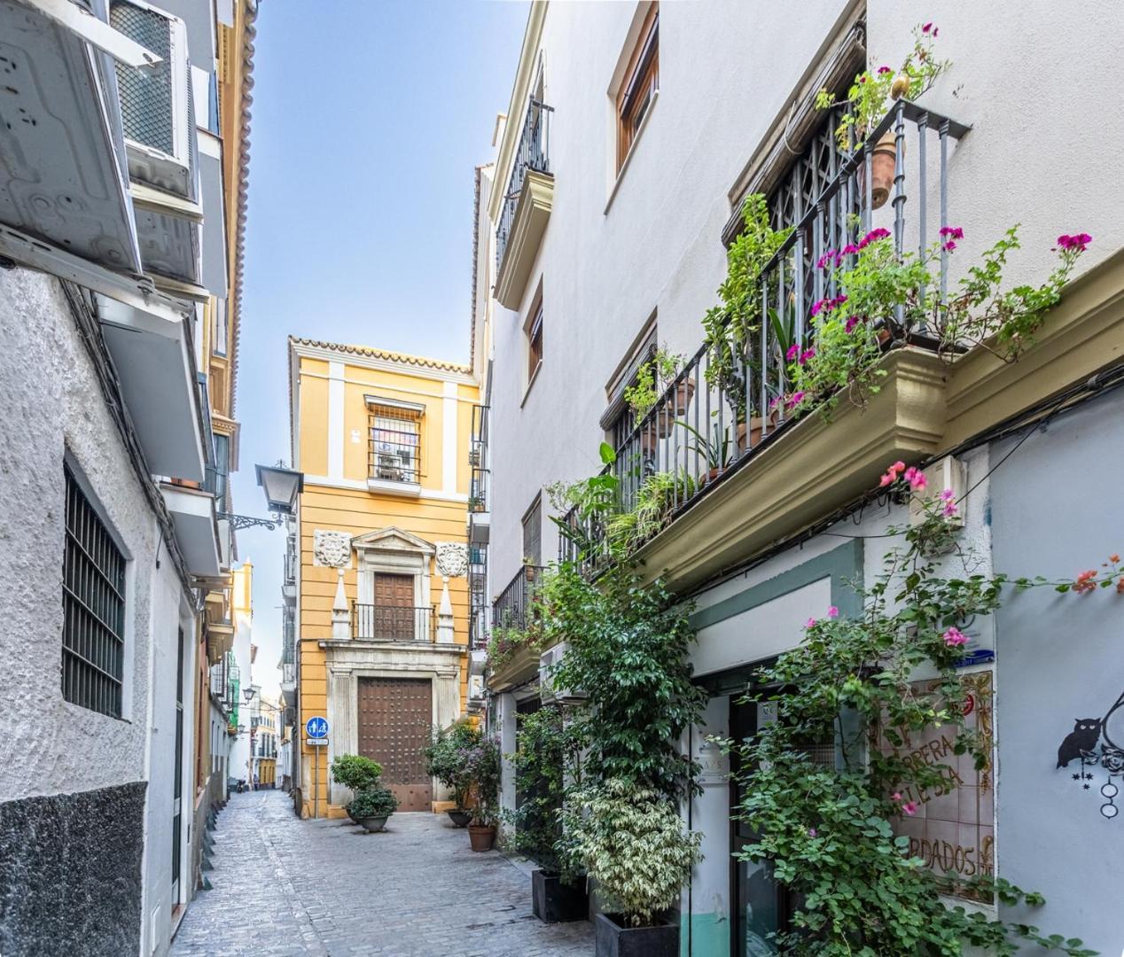Duplex En Antigua Casa Palacio - Calle San Isidoro * Séville